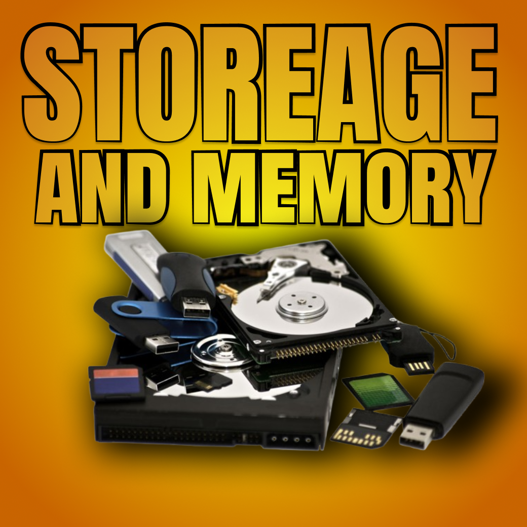 STORAGE AND MEMORY TLA